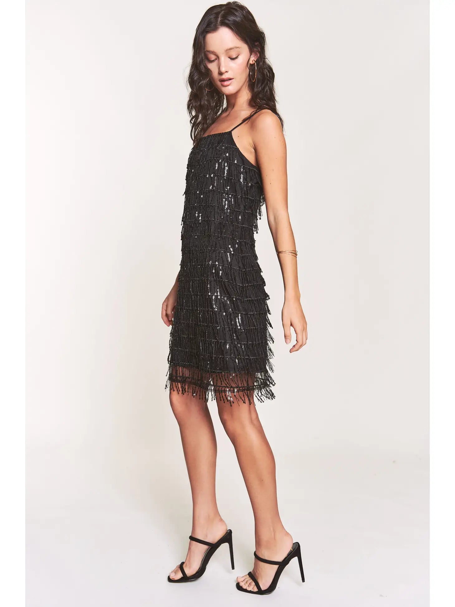 Naomi Sequins Dress