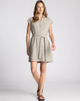 Sable V-Neck Mini Dress