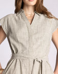 Sable V-Neck Mini Dress